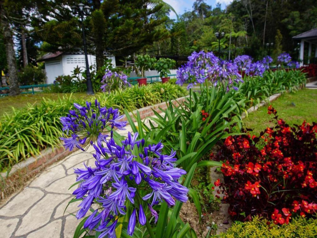 Camlodge Budget Hotel Cao nguyên Cameron Ngoại thất bức ảnh